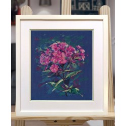 Cross-stitch kit "Phloxes" S1590