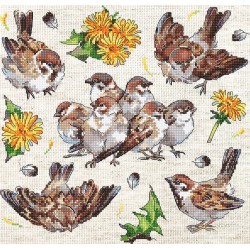 Sparrows 23x22cm SLETIL8803