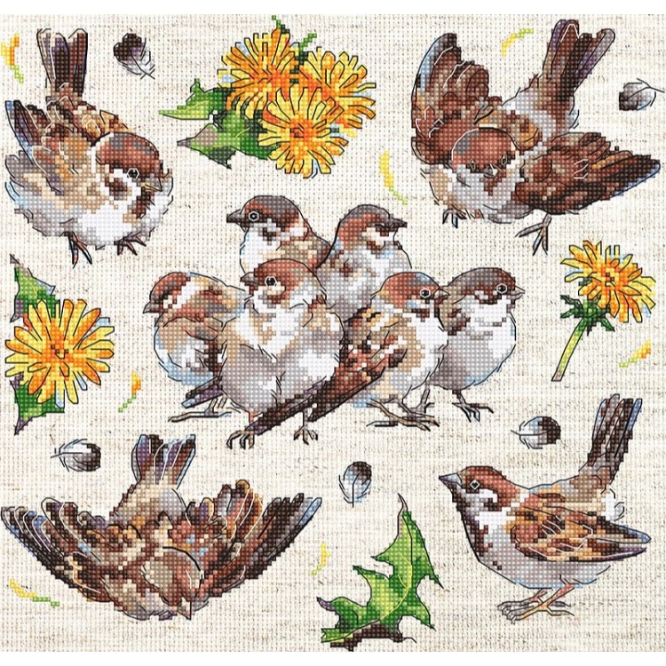 Sparrows 23x22cm SLETIL8803