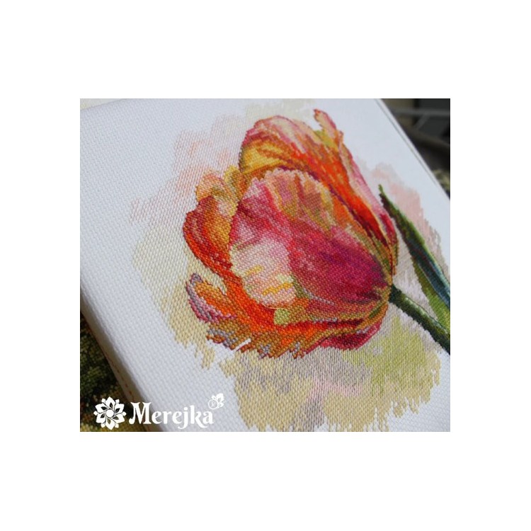 Parrot Tulip 21x21 SK248