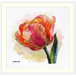 Parrot Tulip 21x21 SK248