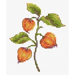 Cross stitch kit "Physalis" SV-815