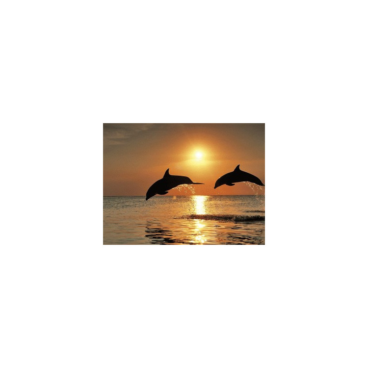 Картина стразами "Игры дельфинов"     AZ-1089