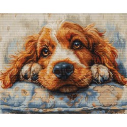 Cocker Spaniel 32x25cm SBU5058