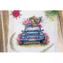 Cross stitch kit "Outdoor recreation" SNV-824