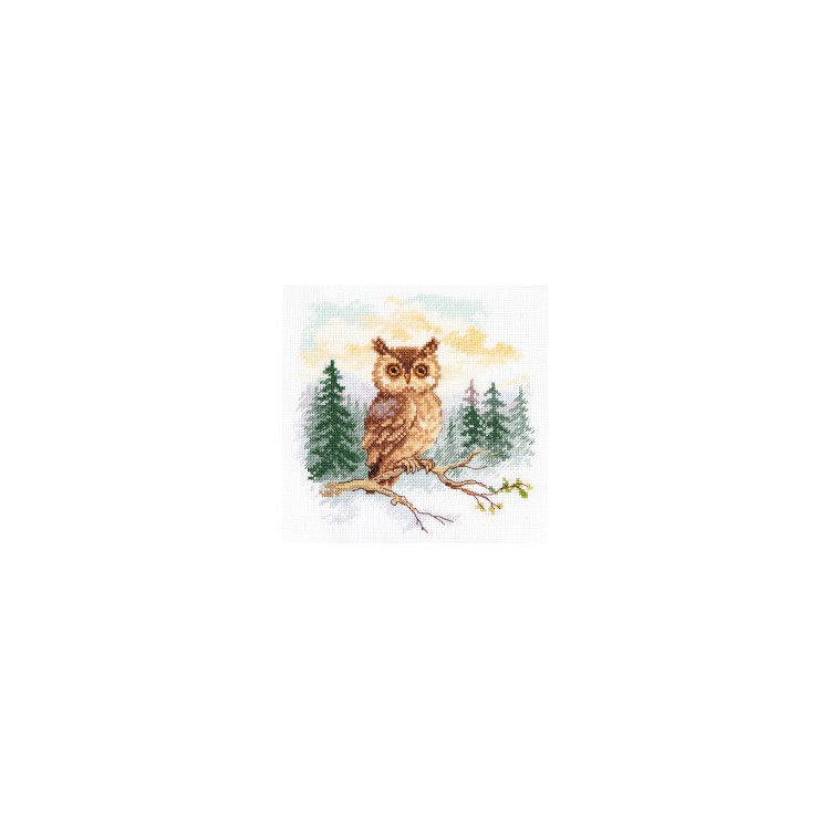 Cross stitch kit "Tales of the forest. Owl" S0-242