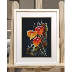 Cross stitch kit "Physalis on black" S1617