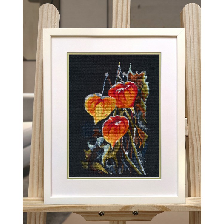 Cross stitch kit "Physalis on black" S1617