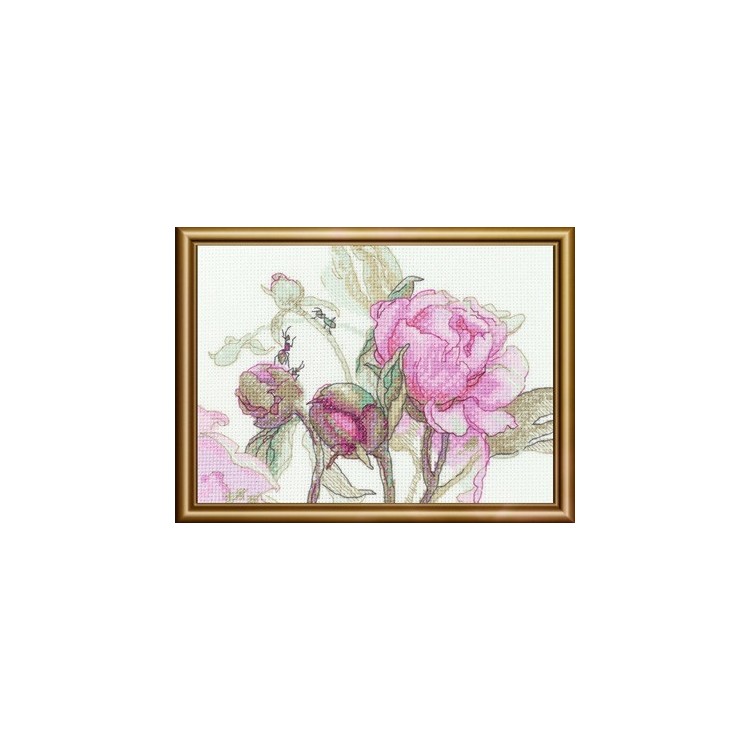 Peonies. Delight 18x15 SRA1009