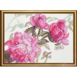 Peonies. Whisper 18x15 SRA1010