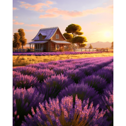 Diamond Painting with subframe Lavender field 30x40 cm VA824