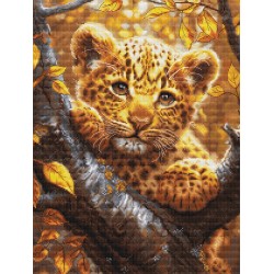 Leopard Cub at Sunrise 25x34cm SBU5068