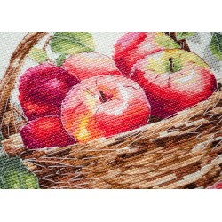 Cross-stitch kits AAH-250