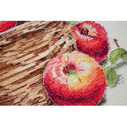 Cross-stitch kits AAH-250