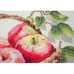 Cross-stitch kits AAH-250