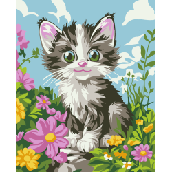 2024Paint by Numbers kit "Fluffy kitten" 16.5x13 cm MINI318