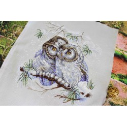 Cross stitch kit "Little Owls" SNV-794