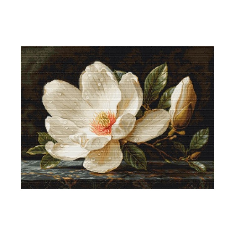 The Magnolia Dew 38x28cm SB713