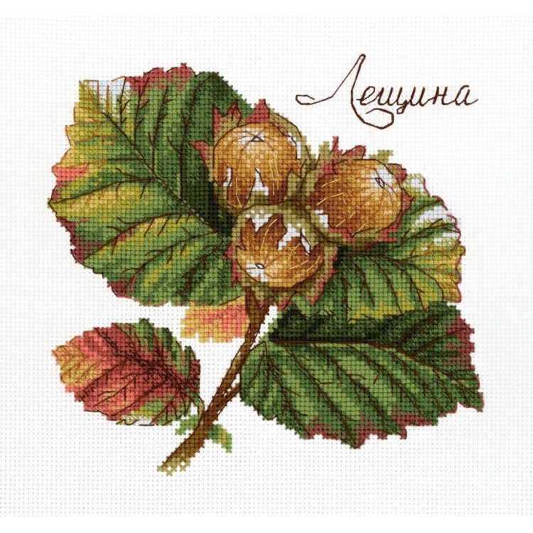 Cross stitch kit "Gifts of nature. Hazel" SNV-912