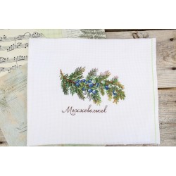 Cross stitch kit "Gifts of nature. Juniper" SNV-913