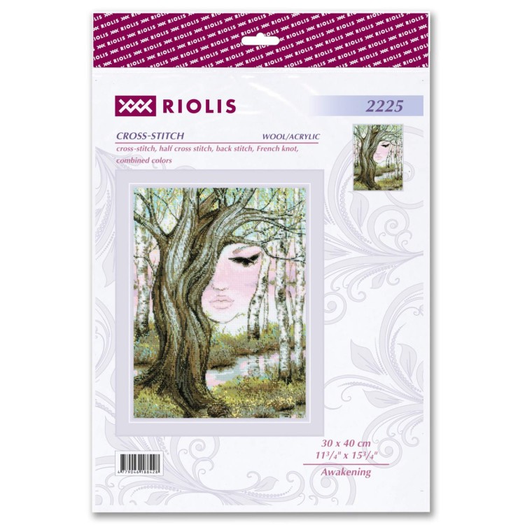 Awakening 30x40 SR2225