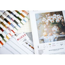 The Elegance of the Orchid 32x32cm SB714