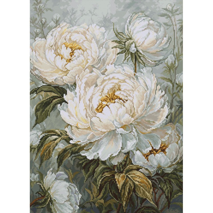 The Light of Spring Peonies 29x40cm SB715