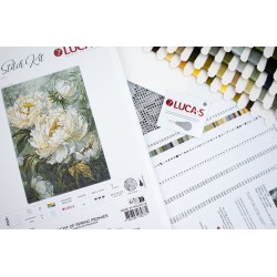 The Light of Spring Peonies 29x40cm SB715