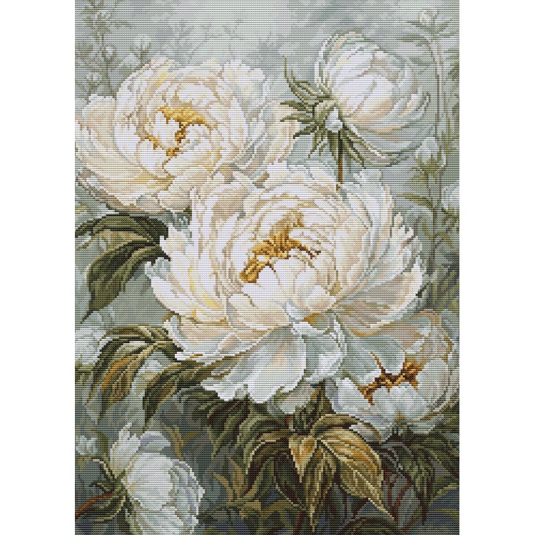 The Light of Spring Peonies 18x25cm SG715