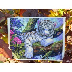 White Tiger 37x29 SK260