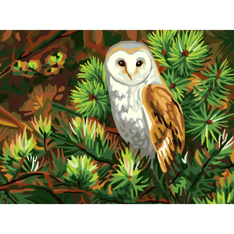 Printed Canvas 40x30 Owl CDA10518W Printed Canvas 40x30 Owl CDA10518W