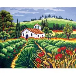 Printed Canvas 50x40 Church in the Poppy Field CDA11556