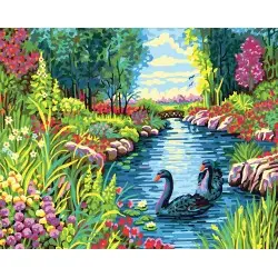 Printed Canvas 50x40 Black swans CDA11871W