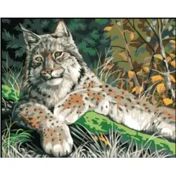 Printed Canvas 50x40 Lynx CDA11882