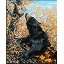 Printed Canvas 50x40 Gourmand CDA11885