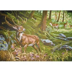 Printed Canvas 50x70 Watchful in the Forest CDA12972