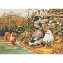 Printed Canvas 22x30 Ducks CDA6029