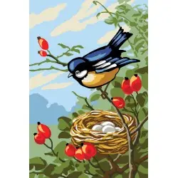 Printed Canvas 20x30 Bird with nest CDA6290