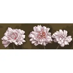 Printed Canvas 35x80 Mauve Roses CDA9006