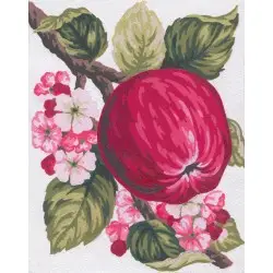 Printed Canvas 14x18 Apple CDA3159
