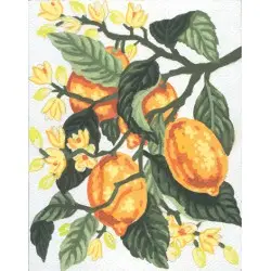 Printed Canvas 14x18 Lemons CDA3162