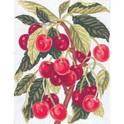 Printed Canvas 14x18 Cherries CDA3164