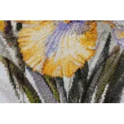 Cross-stitch kits - Irises AAH-142