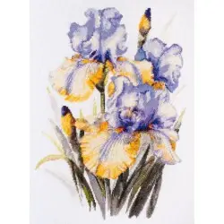 Cross-stitch kits - Irises AAH-142
