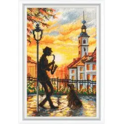 Needlecraft set RTOM1059
