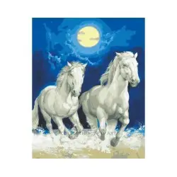 Printed Canvas 50x40 White Horses by Moonlight CDA11857