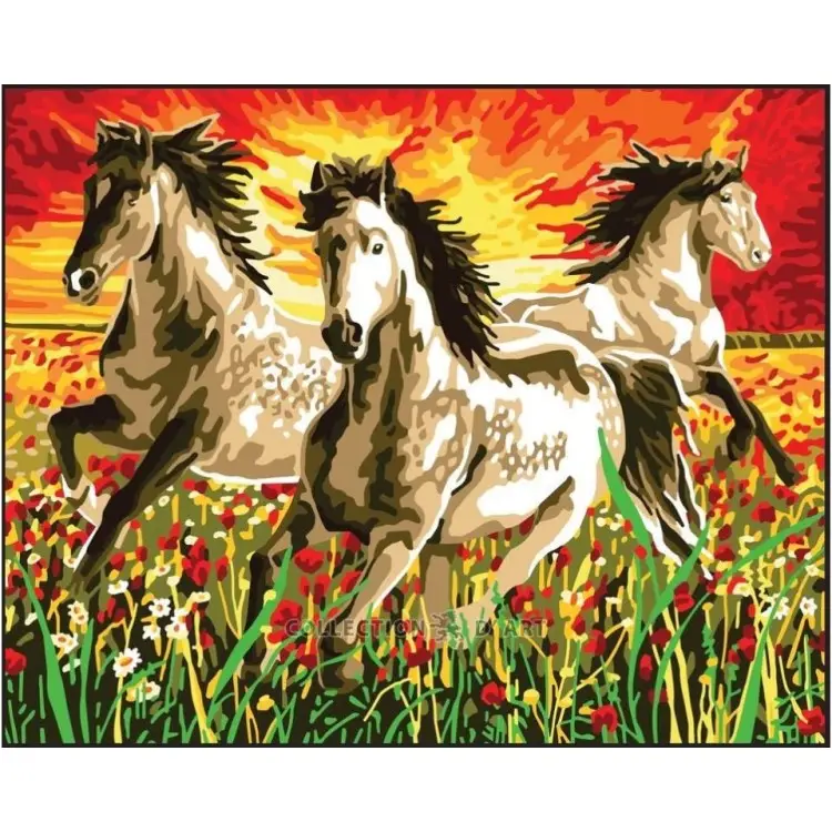 Printed Canvas 50x40 Horses at sunset CDA11868