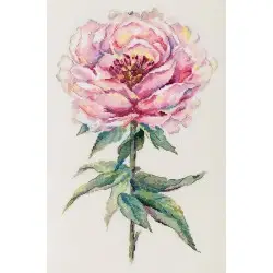 Cross stitch kit "Peony" PC-7468