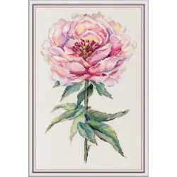 Cross stitch kit "Peony" PC-7468