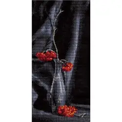Cross stitch kit "Rowan Nocturne" PN-0964